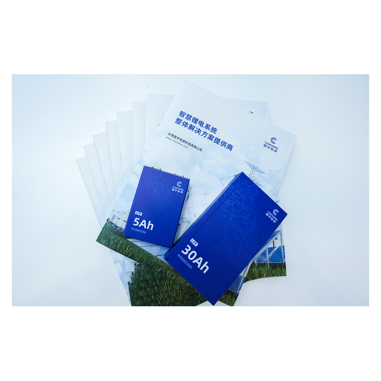 Rechargeable 3.2v 100ah Lifepo4 Battery Cells For Electric Bicycles