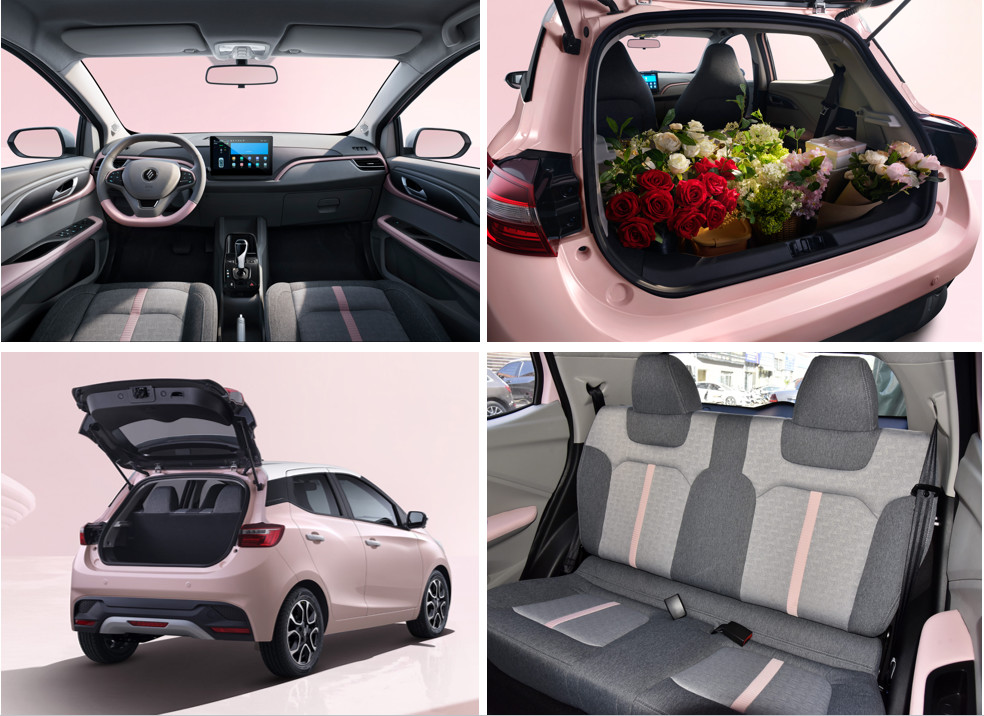 Comfortable Driving Experience Electric Car EV3 Mileage 320km High speed Electric Car