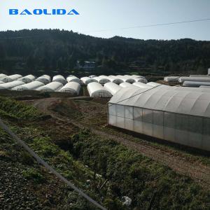 Quality Clear Plastic Film Polyethylene Steel Frame Greenhouse With Irrgation System wholesale
