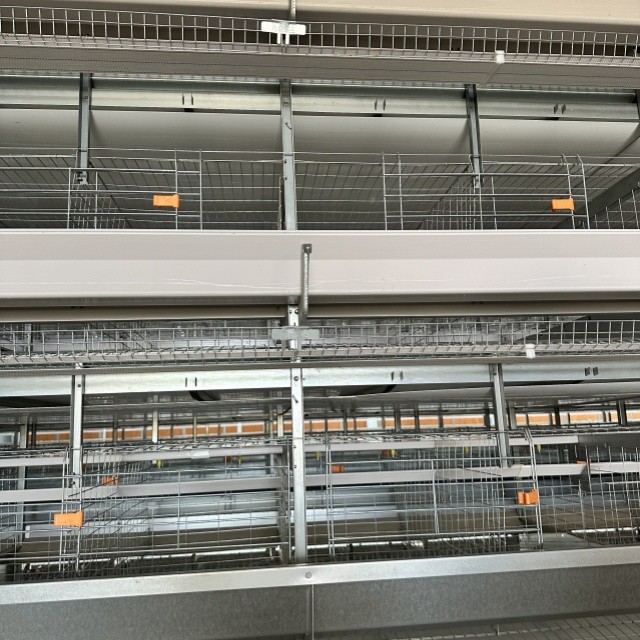 100,000 Birds H Type 8-Tier Layer Chicken Cage For Egg Hens Project Fully Automatic Layer Cage