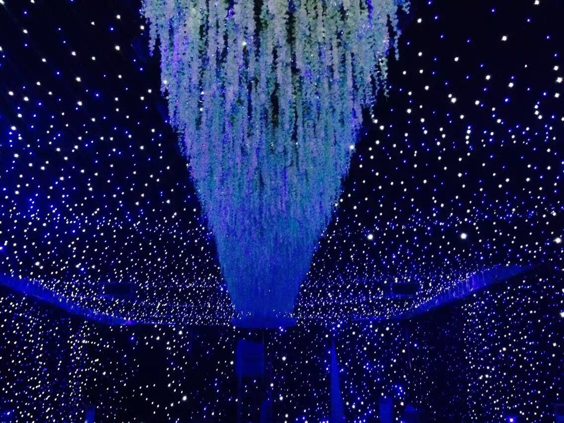 Blue and White LED Shining Background Curtain LED Star Curtain BW For Wedding Stage Background Decoration