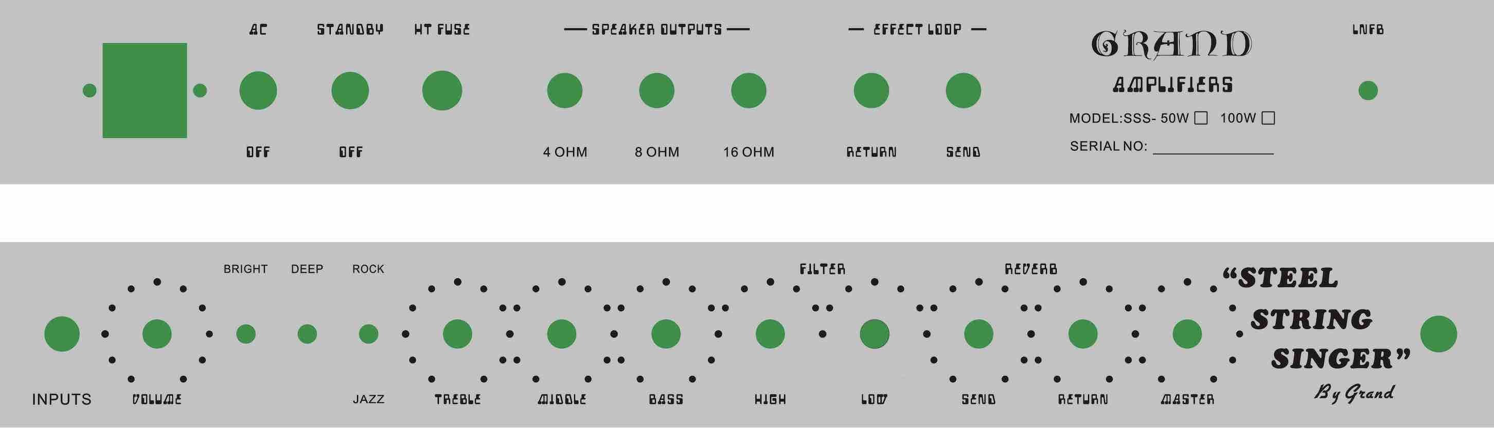 Professional Tube Guitar AMP Head 100W Dumble Tone SSS Steel String Singer Valve Amplifier With JJ Tubes Imported Parts