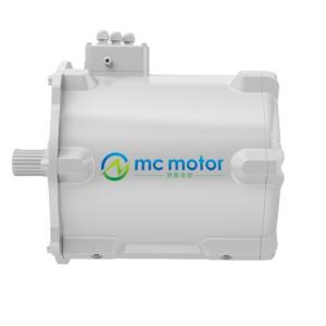 Quality Brushless 3 Phase 7.5KW 10000RPM 7.2Nm Vehicle Driving Motor wholesale