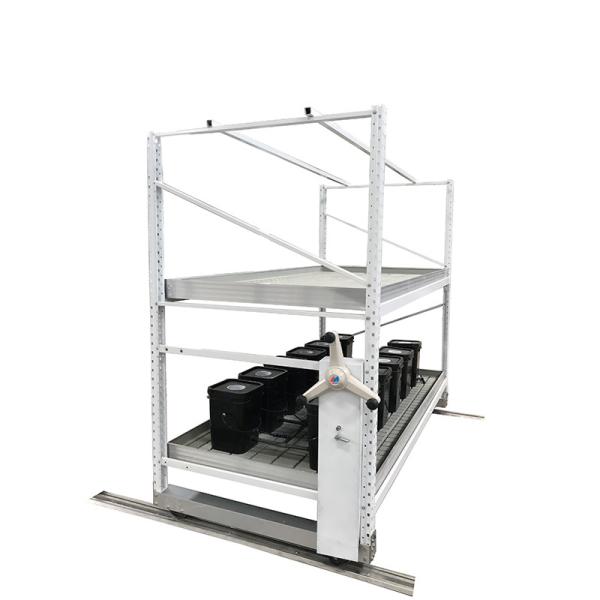 4x4ft Vertical Hydroponic Growing Racks Medicinal Herbs Plant Rack With Grow