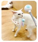 Wholesale Manufacture Funny Interactive Pet Led Laser Pets Toys Cat Teaser Stick