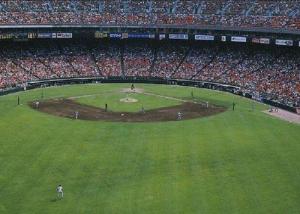 Quality Green Baseball Artificial Turf , Synthetic Turf Baseball Fields wholesale