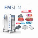 2/4 Handles Emslim Nova Machine Automatic Body Slimming Equipment 2800w