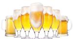 Small-Scale Production of Beer/Black Beer on a Small Scale/Bar Beer Brewing