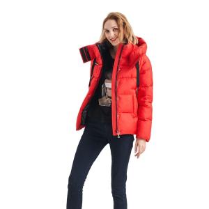 Quality FODARLLOY 2022 High Quality Warm Hooded Lady Thin Cotton-padded Jacket Women Coat Lightweight Luxury Down Foldable Jacket wholesale