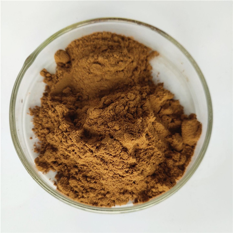 Gmp Sarcandra Glabra Extract For Antirheumatic