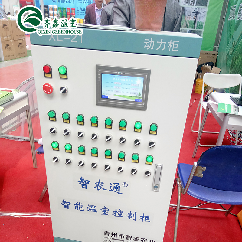 Customized Multi-span Vegetable Grow Tunnel Greenhouse for Vegetable Cultivation