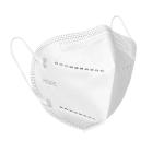 Pm 2.5 Earloop Anti Virus Dustproof KN95 Face Mask