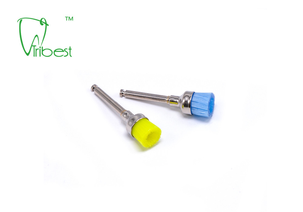 Teeth Polishing Brush Dental Polishing Kit Nylon Brush Bowl