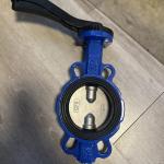1 Inch Sanitary Stainless Steel Pneumatic Butterfly Valve with Customized
