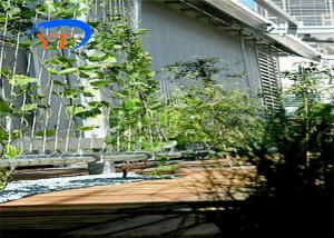 Quality 2.0mm SUS304 Stainless Steel Woven Wire Mesh Cable Netting 100x100mm For Plant Climbing wholesale