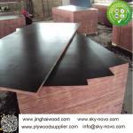Brown film face plywood 18mm shuttering boards/formwork