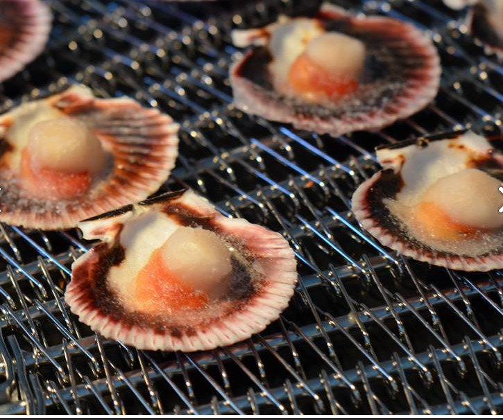 Seafood Freezing Oven Food Grade 316 Stainless Steel Spiral Mesh Belt