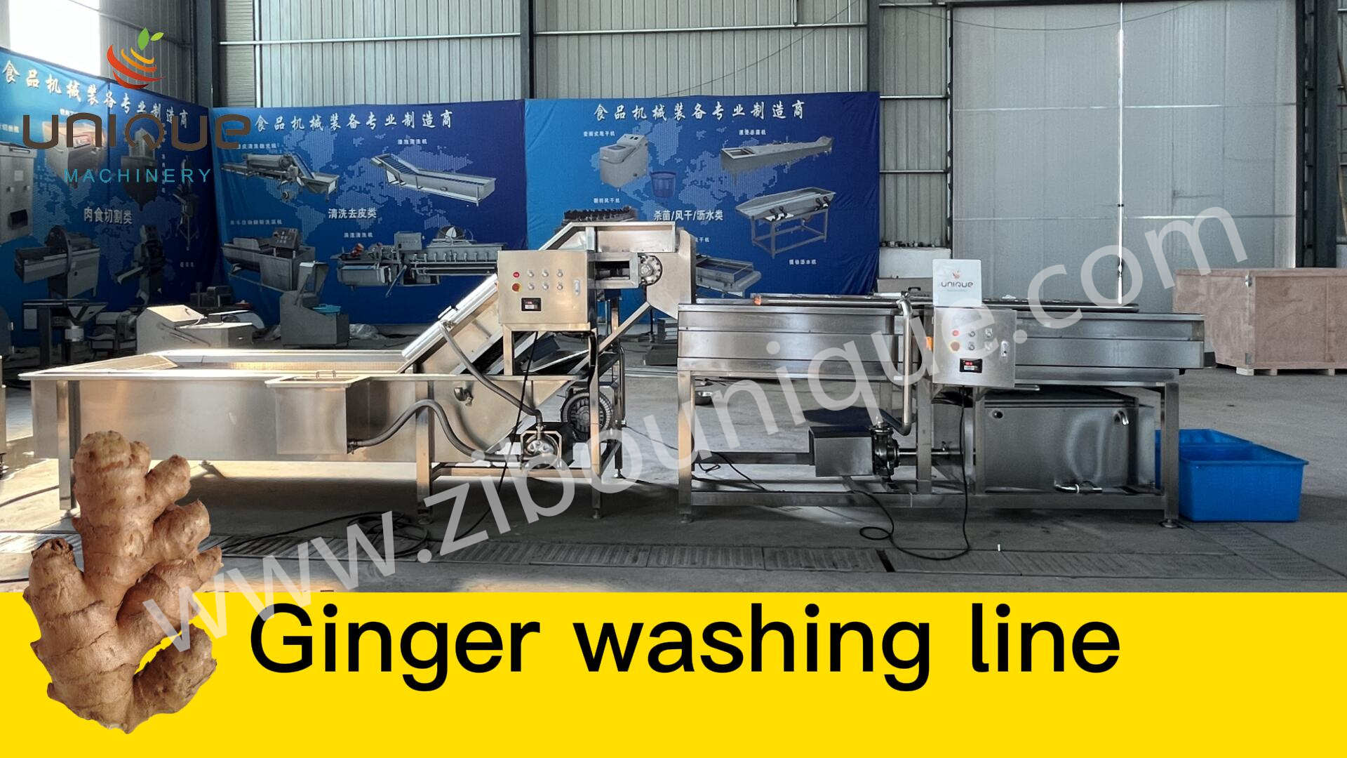 1000-1500 kg/h Capacity Root Vegetable Cutting Machine for Large Scale Production