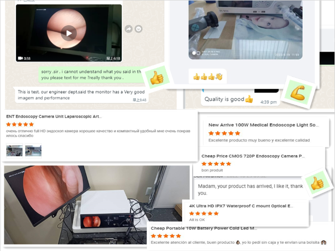 Electric Veterinary Video Gastroscope Colonoscope Flexible Medical Endoscope Camera