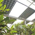 Multi-Span Arch Type PE/Po Plastic Film Photovoltaic Solar Greenhouse for