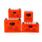 YTX12 BS Black Square Gel Type Motorcycle Battery Maintenance Free 1.9kg