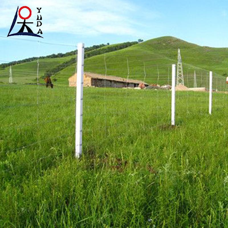 Hot Dip Galvanized Farm Woven Iron Wire Net Grassland Sheep Field Fence