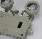 Fire Flameproof Emergency Light Ni Cd Battery Ceiling Mounted Reflective