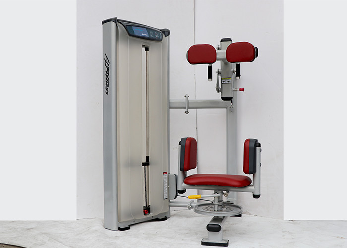 Customizable 120*60cm Torso Rotation Machine For Adult