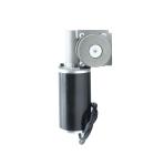 63BLX01A-001WG15 Wheels 220rpm DC Worm Gearbox Motor 1A 36V 114W