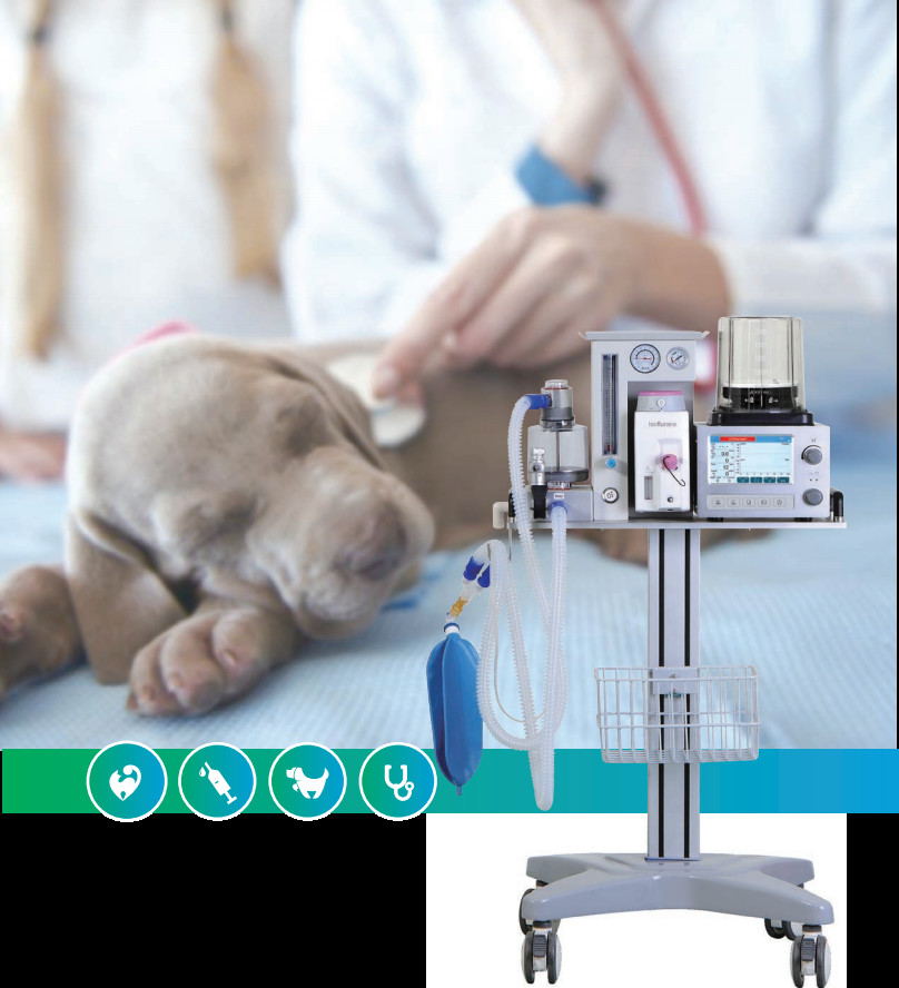 DM6B Four Casters Veterinary Anesthesia Scavenger System 0-60L/Min