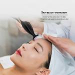 Rechargeable Battery Home Beauty Machine Plasma Introducer Ozone Acne Clear