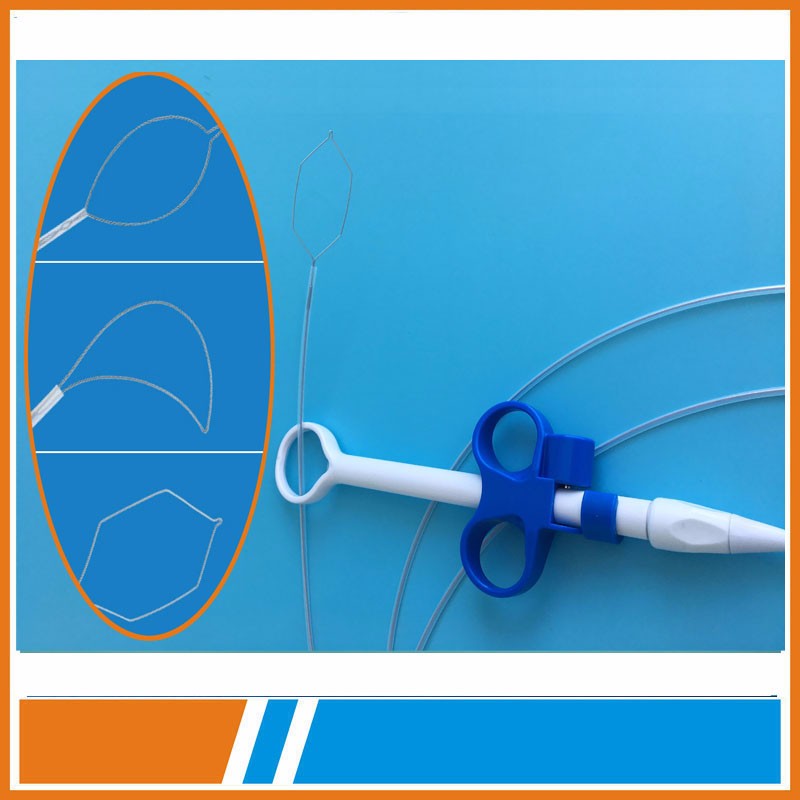 Cold snare polypectomy and hot snare polypectomy