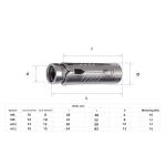 Stainless Steel M10 Expansion Shield Anchor for Strong and Durable Concrete
