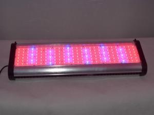 Quality intelligent dimming sunrise and sunset simulation pt 250w led coral reef aquarium lamps wholesale
