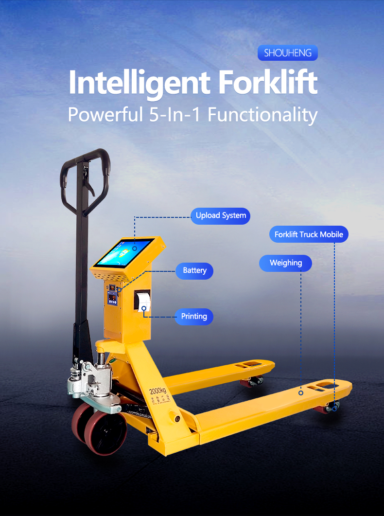 Carbon Steel Tray Scale Entry and Exit System for Streamlined Warehouse Operations