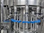 SS304 60bpm Mineral Water Pet Bottle Filling Machine