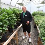 Single Span Tunnel vegetable Light Deprivation Greenhouse Length 30-45ft