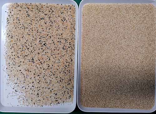 high Definition Image Pulses Sesame Color Sorter