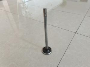 Quality Engine Intake Valve Exhaust Valve Parts 252-7802 224-3030 Customized wholesale