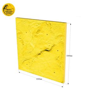 Quality Gym Equipment For Indoor And Outdoor Rock Climbing Wall Panels wholesale