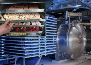 Quality Industrial-Grade Food Vacuum Freeze Dryer Energy Saving Lyophilizer wholesale