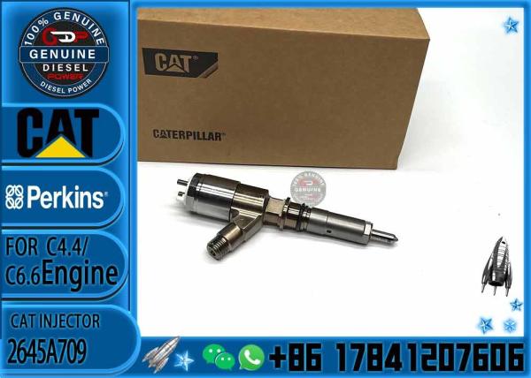 fuel injector CAT 321-3600 320-0677 320-0690 320-0680 2645A709 295-9130 382-0480