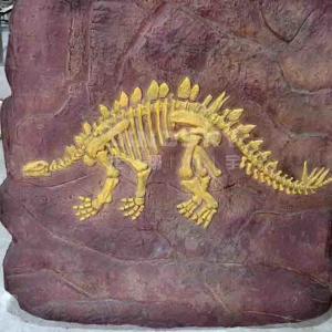 Quality Handmade Museum Dinosaur Replicas , Dino Skull Replica Youth Age wholesale