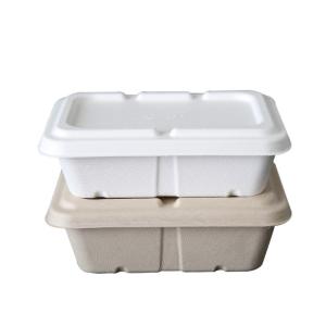 Quality Factory 100% Biodegradable Compostable Bagasse Pulp Packaging Food Container wholesale