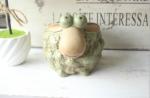 Succulent Creative Animals Sheep Plant Flowerpots