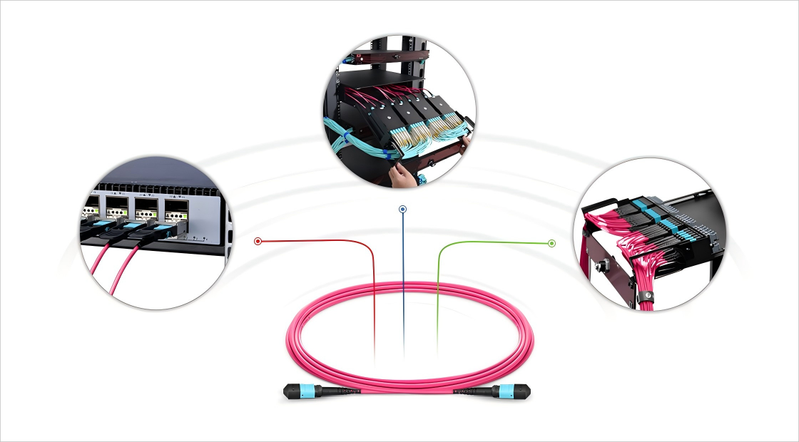 MPO Cable