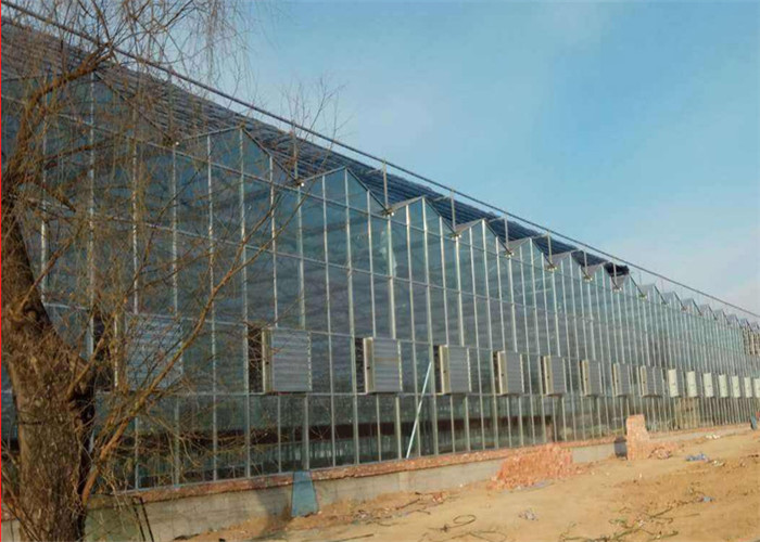 Shouguan Agricultural Glass Greenhouse Hot Dip Galvanized Rust Prevention Design