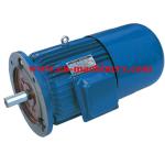 Engine Motor three phase Super High Efficiency AC DC Electric Motor