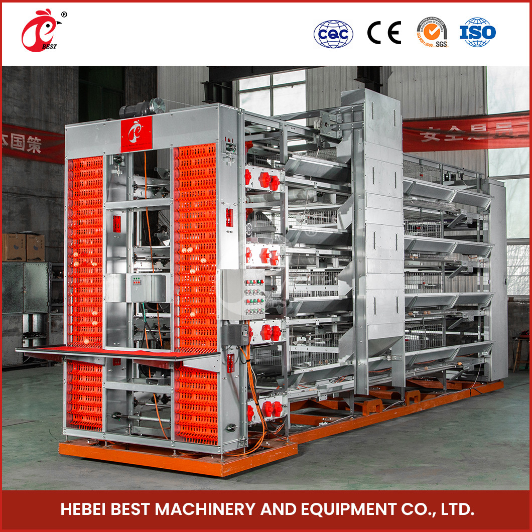 A Or H Type 4 Tier 160 Birds Layer Chicken Battery Cage For Egg Production Sandy