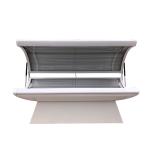 Deep Penetrating 660nm 850nm infrared light therapy bed PDT treatment